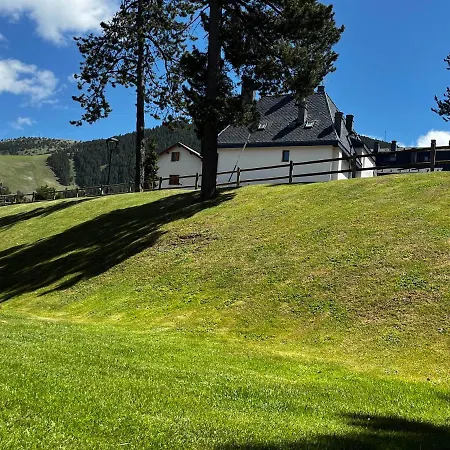 L'osset La Molina (Girona)